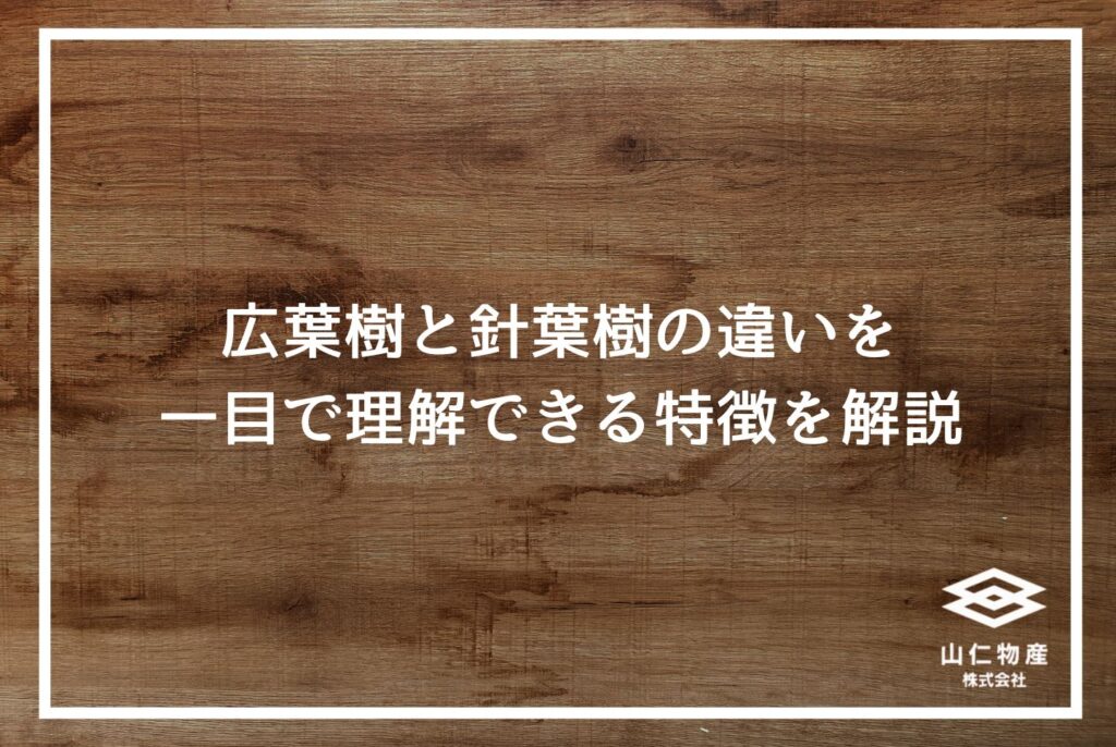 広葉樹木材の完全ガイド｜特徴・種類・針葉樹との違いを徹底解説

