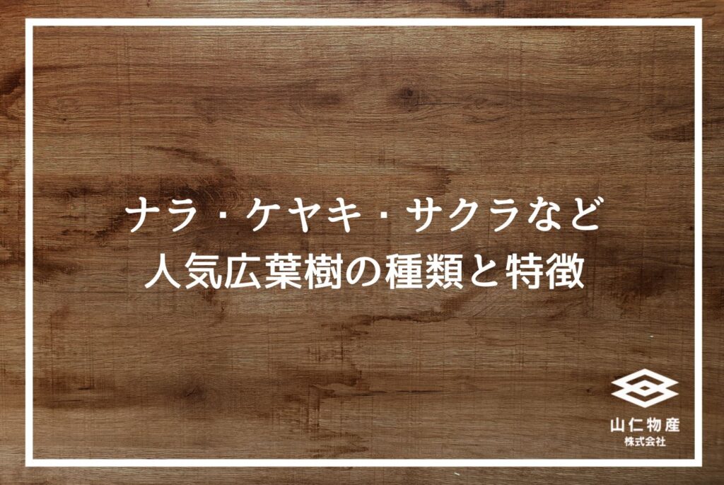 広葉樹木材の完全ガイド｜特徴・種類・針葉樹との違いを徹底解説
