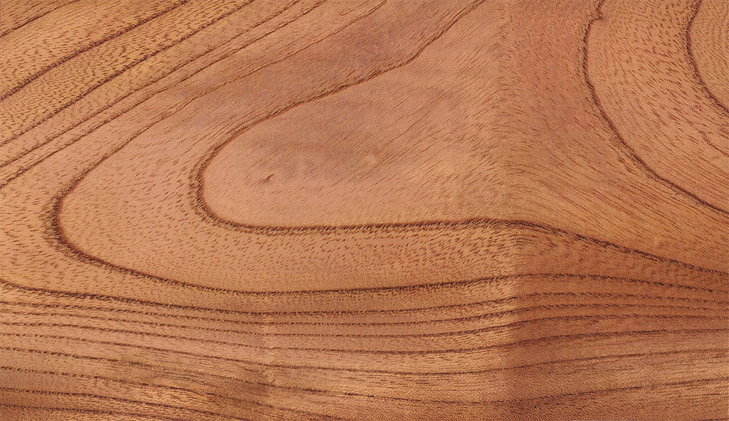 広葉樹木材の完全ガイド｜特徴・種類・針葉樹との違いを徹底解説
