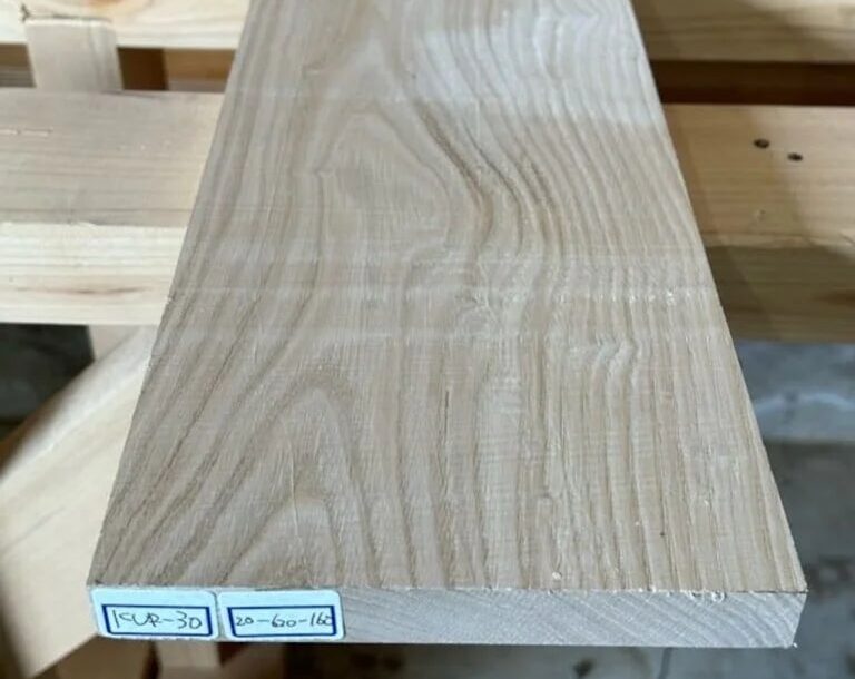 広葉樹木材の完全ガイド｜特徴・種類・針葉樹との違いを徹底解説