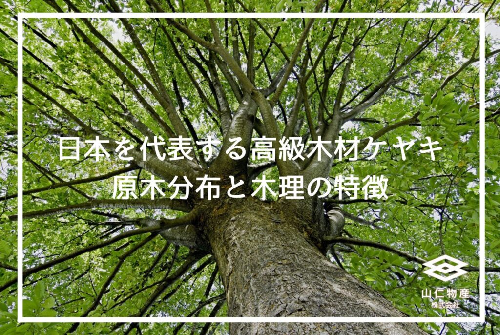 広葉樹ケヤキの木材特徴と見分け方｜木の特徴から家具への活用法まで解説
