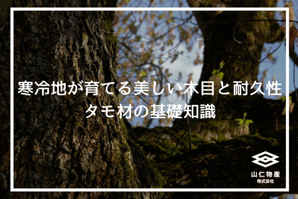 タモ材とは？オーク材との違いや経年変化、調達時の注意点を解説