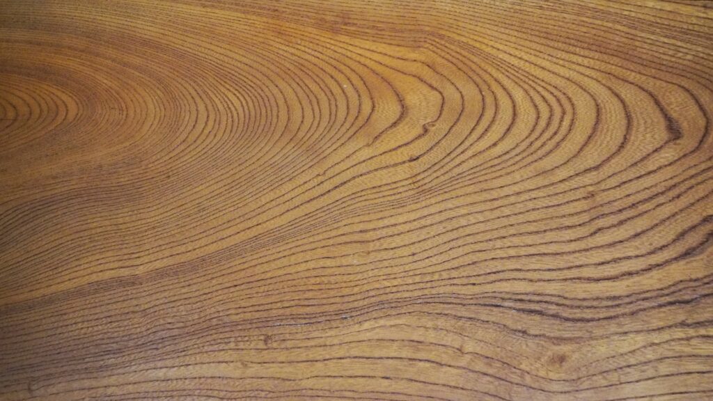 広葉樹ケヤキの木材特徴と見分け方｜木の特徴から家具への活用法まで解説
