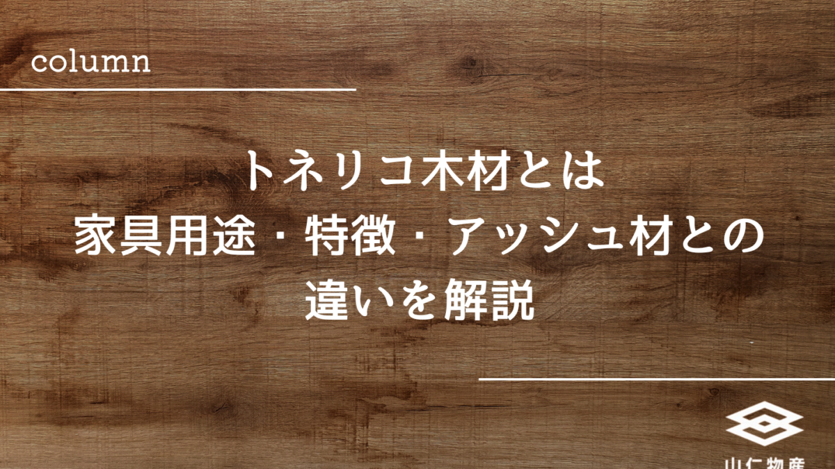 トネリコ木材とは│家具用途・特徴・アッシュ材との違いを解説