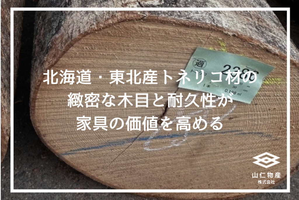 トネリコ木材とは│家具用途・特徴・アッシュ材との違いを解説