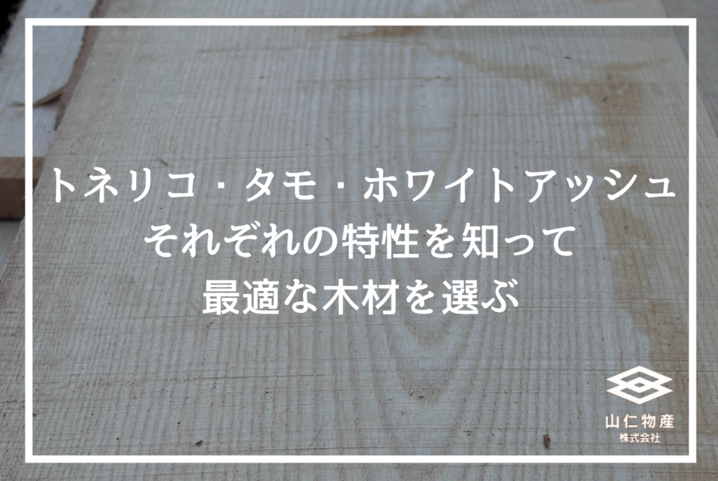 トネリコ木材とは│家具用途・特徴・アッシュ材との違いを解説