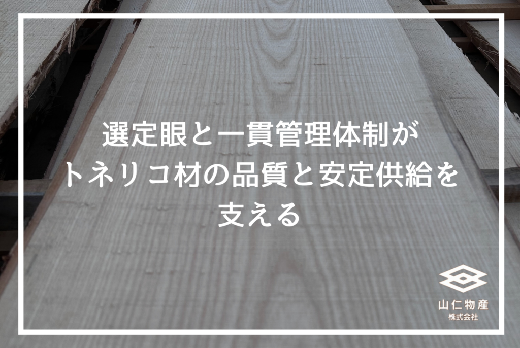 トネリコ木材とは│家具用途・特徴・アッシュ材との違いを解説