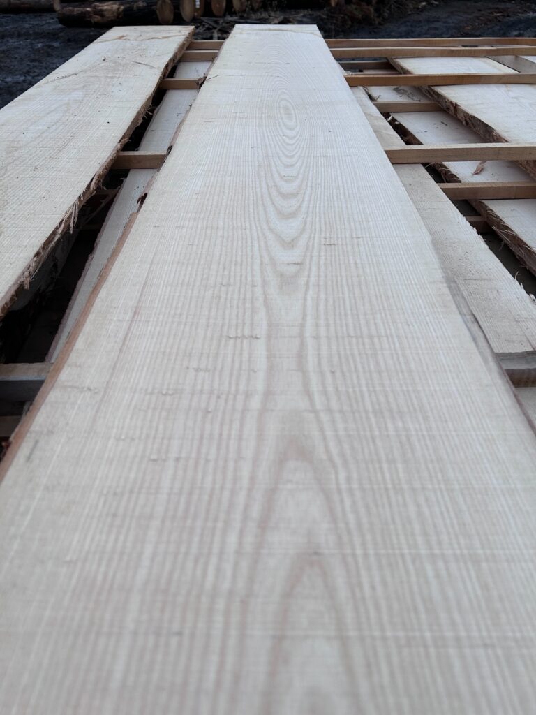 トネリコ木材とは│家具用途・特徴・アッシュ材との違いを解説