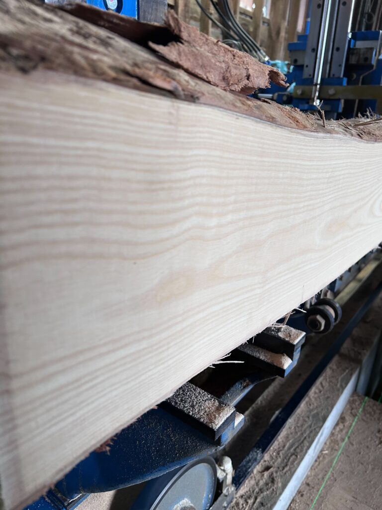 トネリコ木材とは│家具用途・特徴・アッシュ材との違いを解説