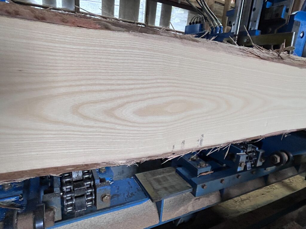 トネリコ木材とは│家具用途・特徴・アッシュ材との違いを解説