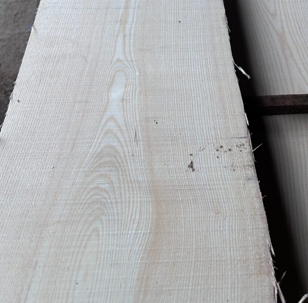 トネリコ木材とは│家具用途・特徴・アッシュ材との違いを解説