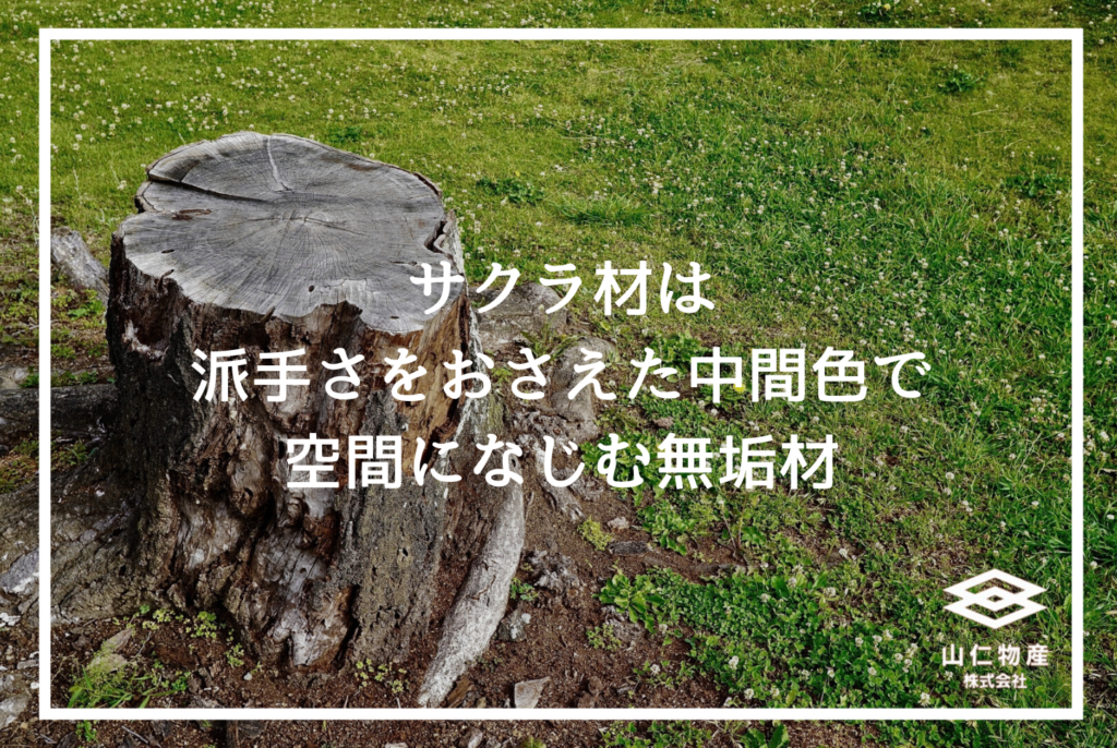 サクラ木材の特徴とは？｜性質・用途・価格と後悔しない選び方を解説