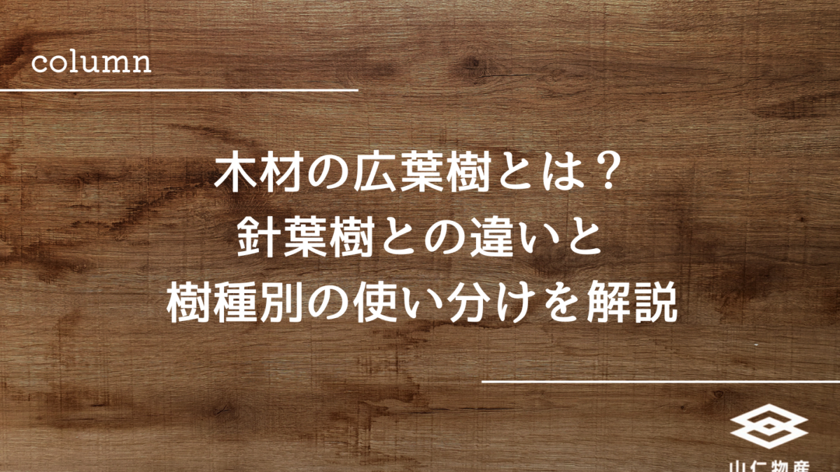 木材の広葉樹とは？針葉樹との違いと樹種別の使い分けを解説