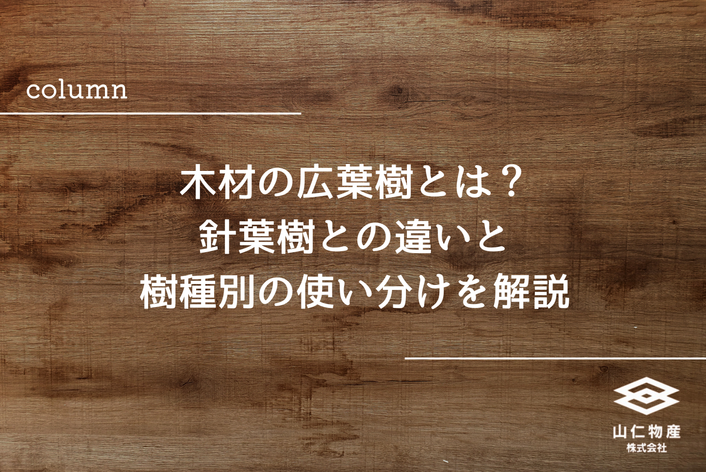 木材の広葉樹とは？針葉樹との違いと樹種別の使い分けを解説 - 山仁 【天樹様】３点おまとめ