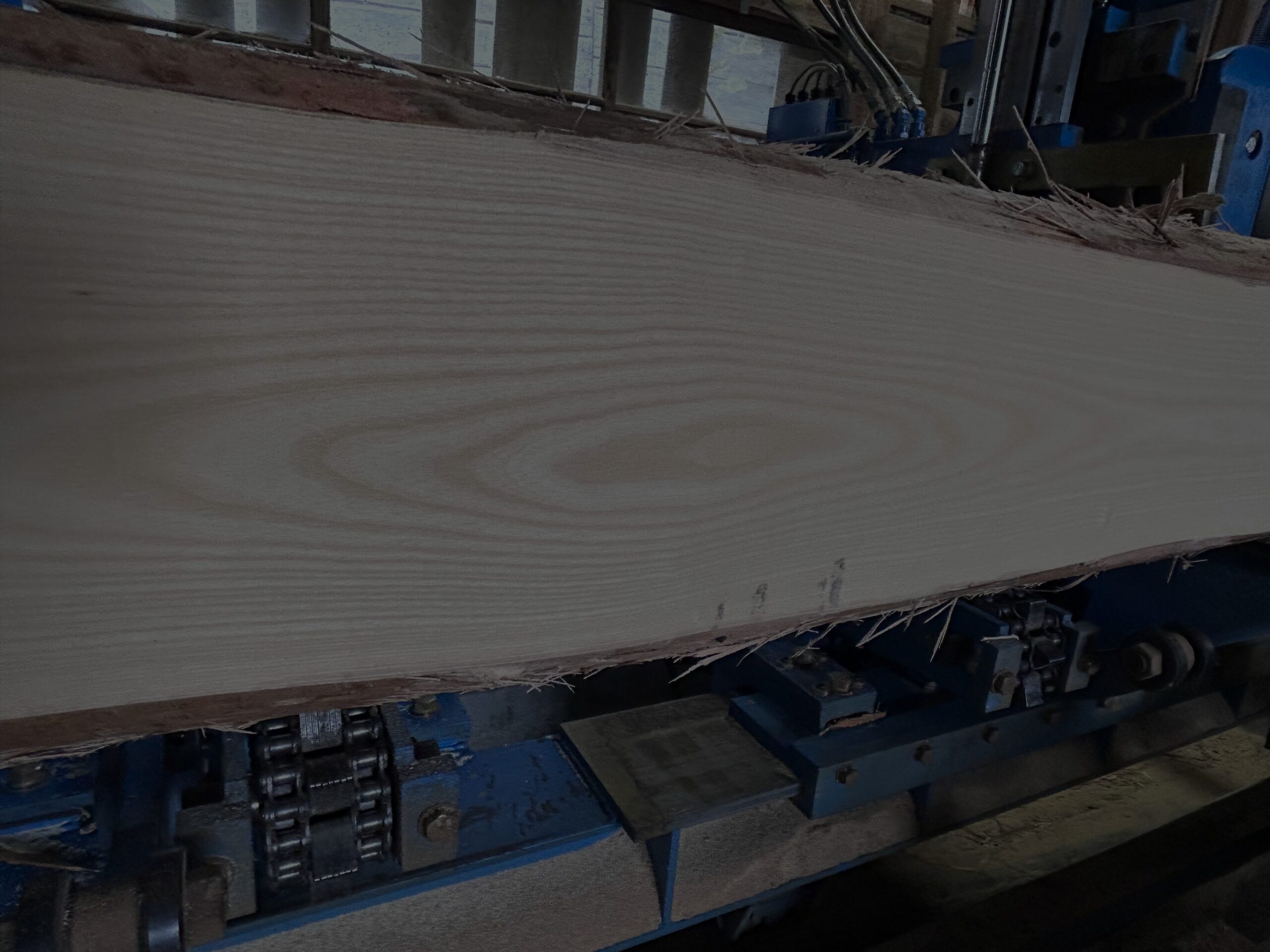 「なぜこの木材なのか」
語れる素材を、
ここから。