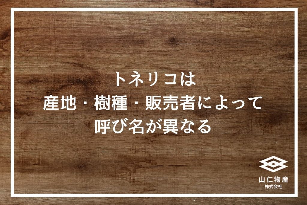 トネリコ木材の特徴と使い分け｜現場監督が知っておきたい選定基準と仕入れ先