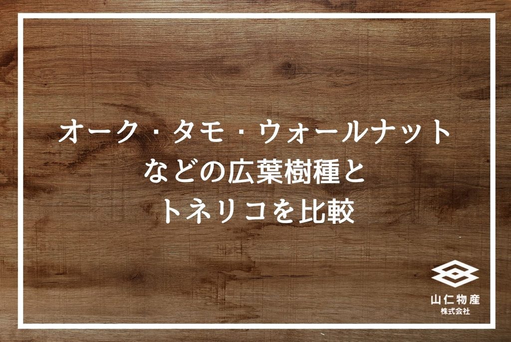 トネリコ木材の特徴と使い分け｜現場監督が知っておきたい選定基準と仕入れ先