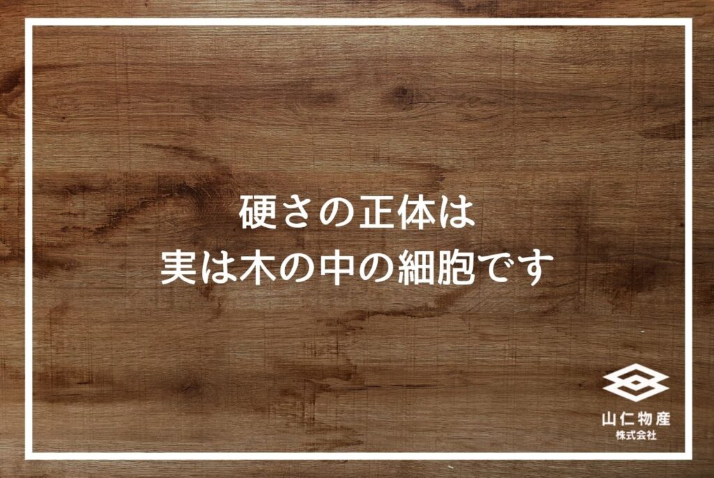 「硬さの正体は実は木の中の細胞です」と書かれた、木目調の見出し用画像